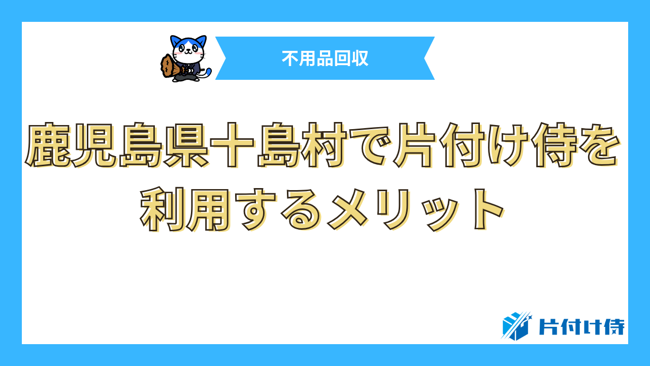 鹿児島県十島村で片付け侍を利用するメリット