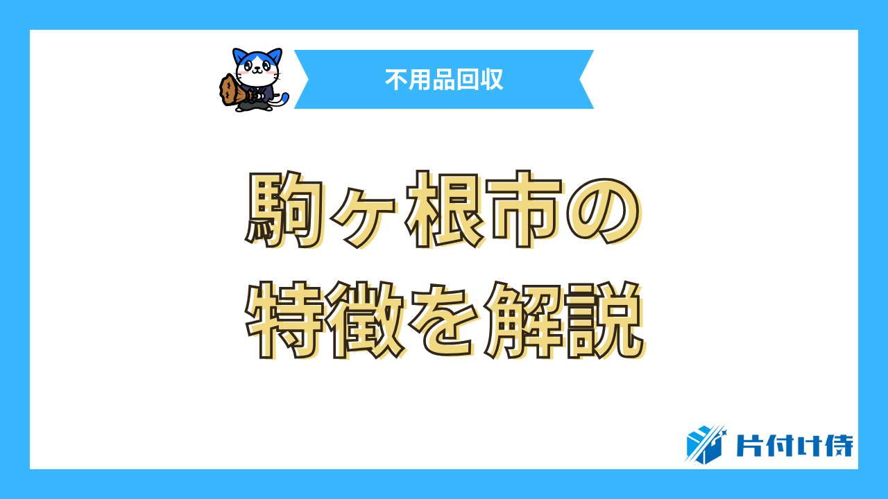 駒ヶ根市の特徴を解説