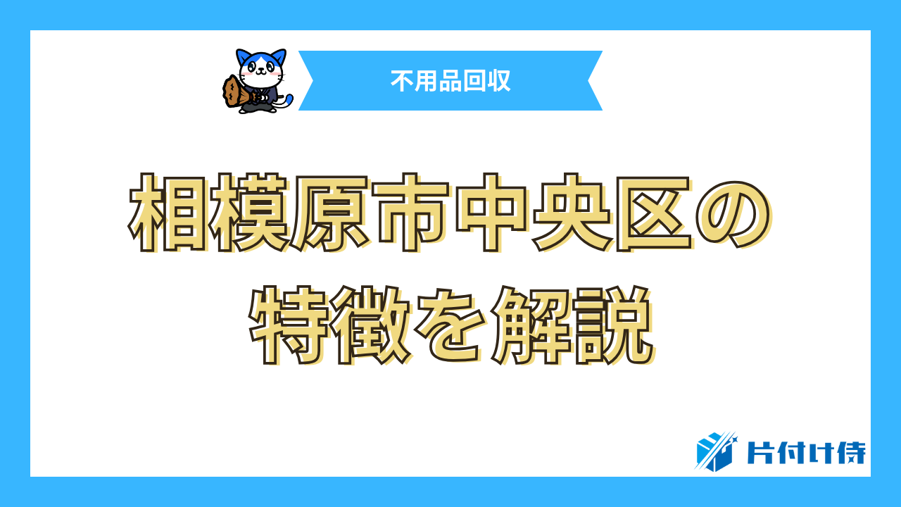 相模原市中央区の特徴を解説