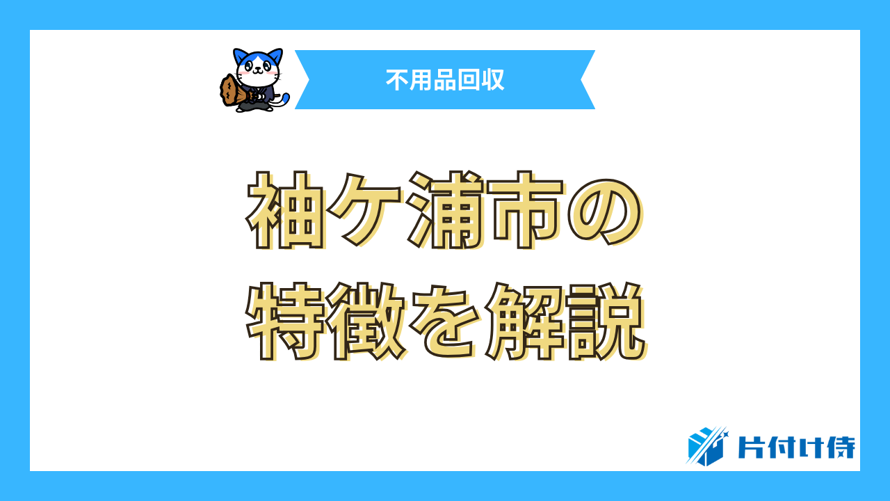 袖ケ浦市の特徴を解説