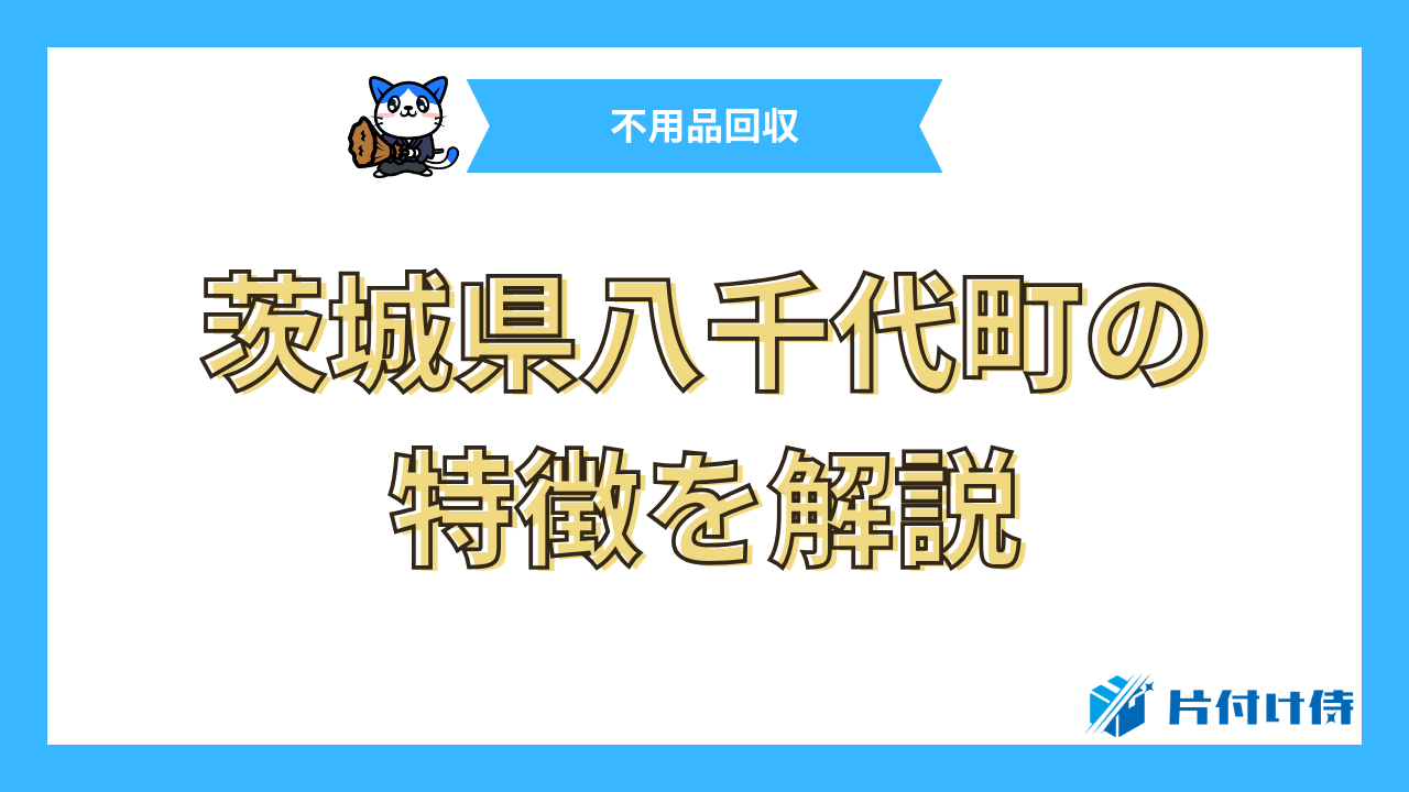 茨城県八千代町の特徴を解説