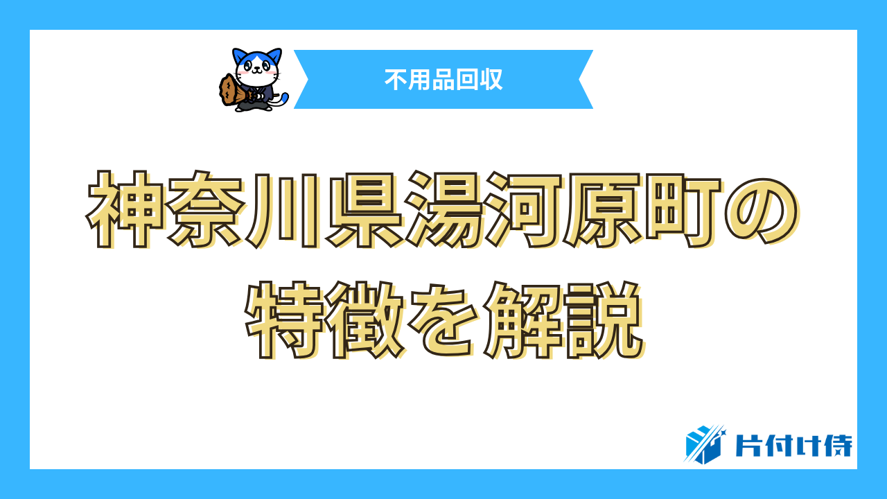 神奈川県湯河原町の特徴を解説